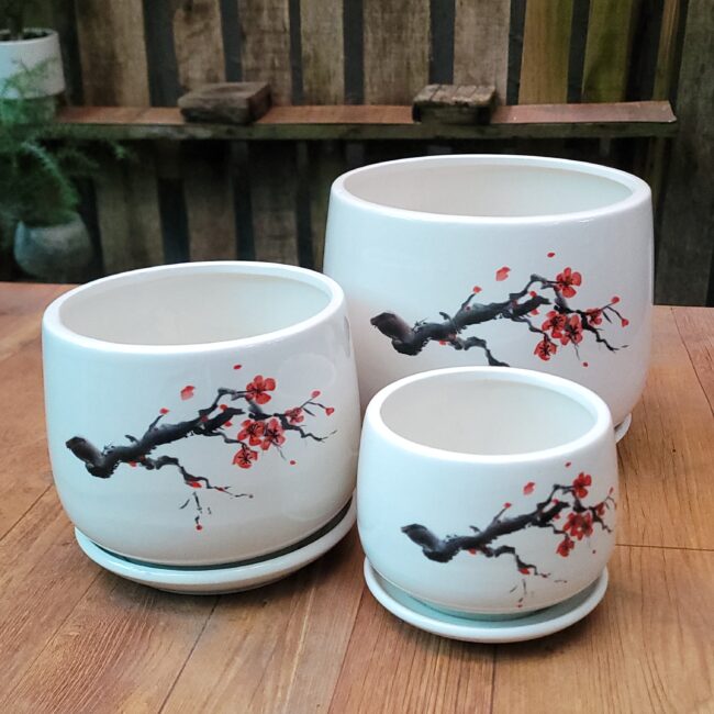Chợ Hoa Kiểng 17 Chậu Men Sứ Để Bàn C15 Họa tiết Hoa Đào