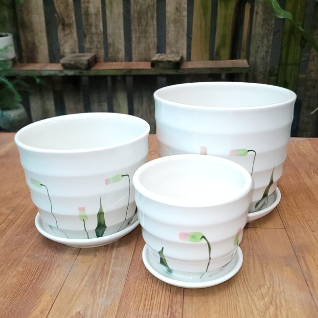 Chợ Hoa Kiểng 18 Châu Men Sứ Để Bàn MV03 (họa tiết hoa cỏ)