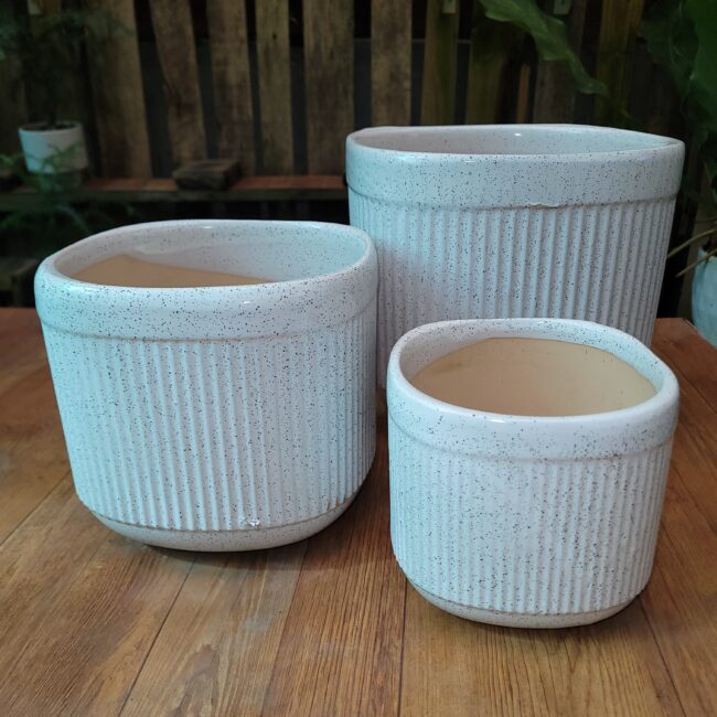 Chợ Hoa Kiểng 16 Châu Men Sứ Để Bàn MV05 (vân sọc, điểm đen trắng)