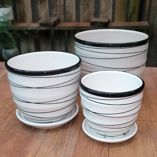 Chậu Men Sứ Để Bàn MV02 (họa tiết vân đen trắng)