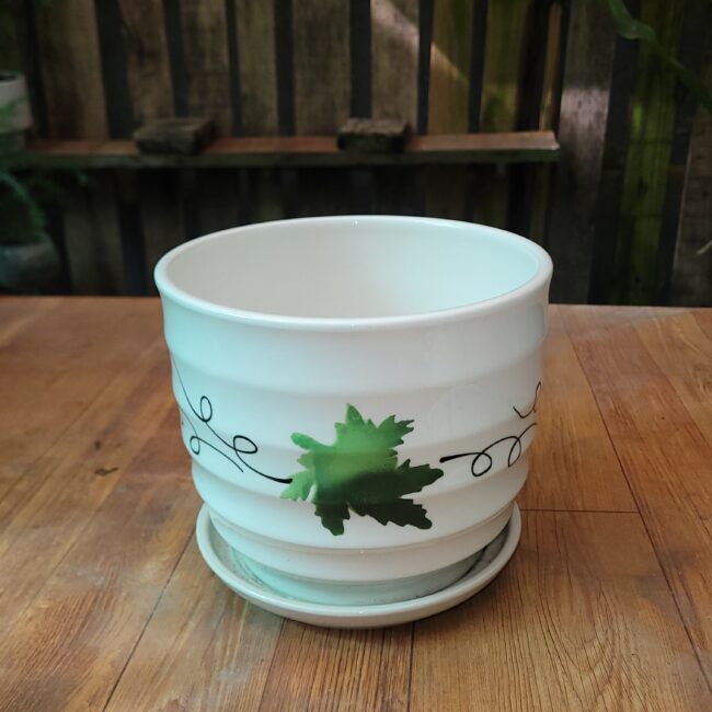 Quà tặng cây cảnh 14 Châu Men Sứ Để Bàn MV04 (họa tiết lá phông)