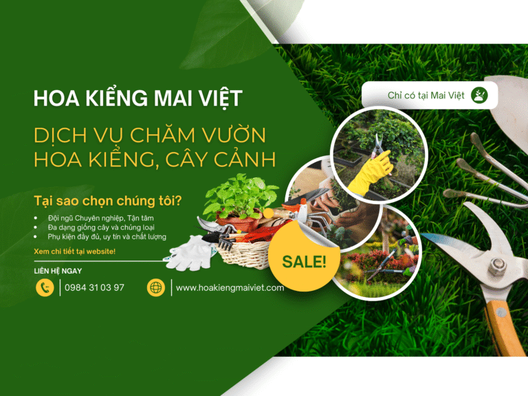 Dịch vụ Chăm sóc Vườn Cây Cảnh, Hoa Kiểng