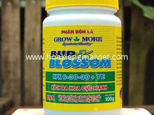Phân bón lá BUD & BLOSSOM (NPK 6-30-30+TE)