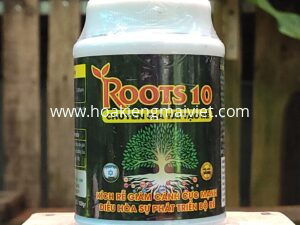 Phân bón vi lượng ROOTS 10