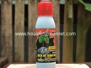 Phân bón vi lượng ROOTS 90 - Chuyên gia tái tạo rễ