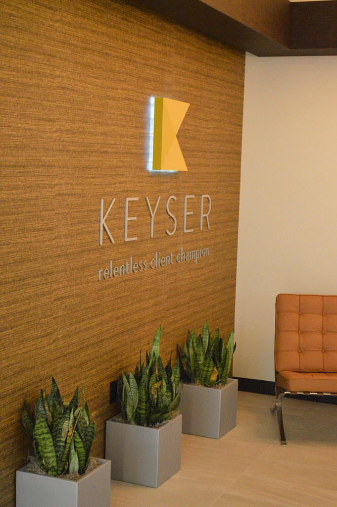 Phòng làm việc cũng cần lá phổi – Kiểng Lá 1 Giá trị thầm lặng của cây cảnh văn phòng