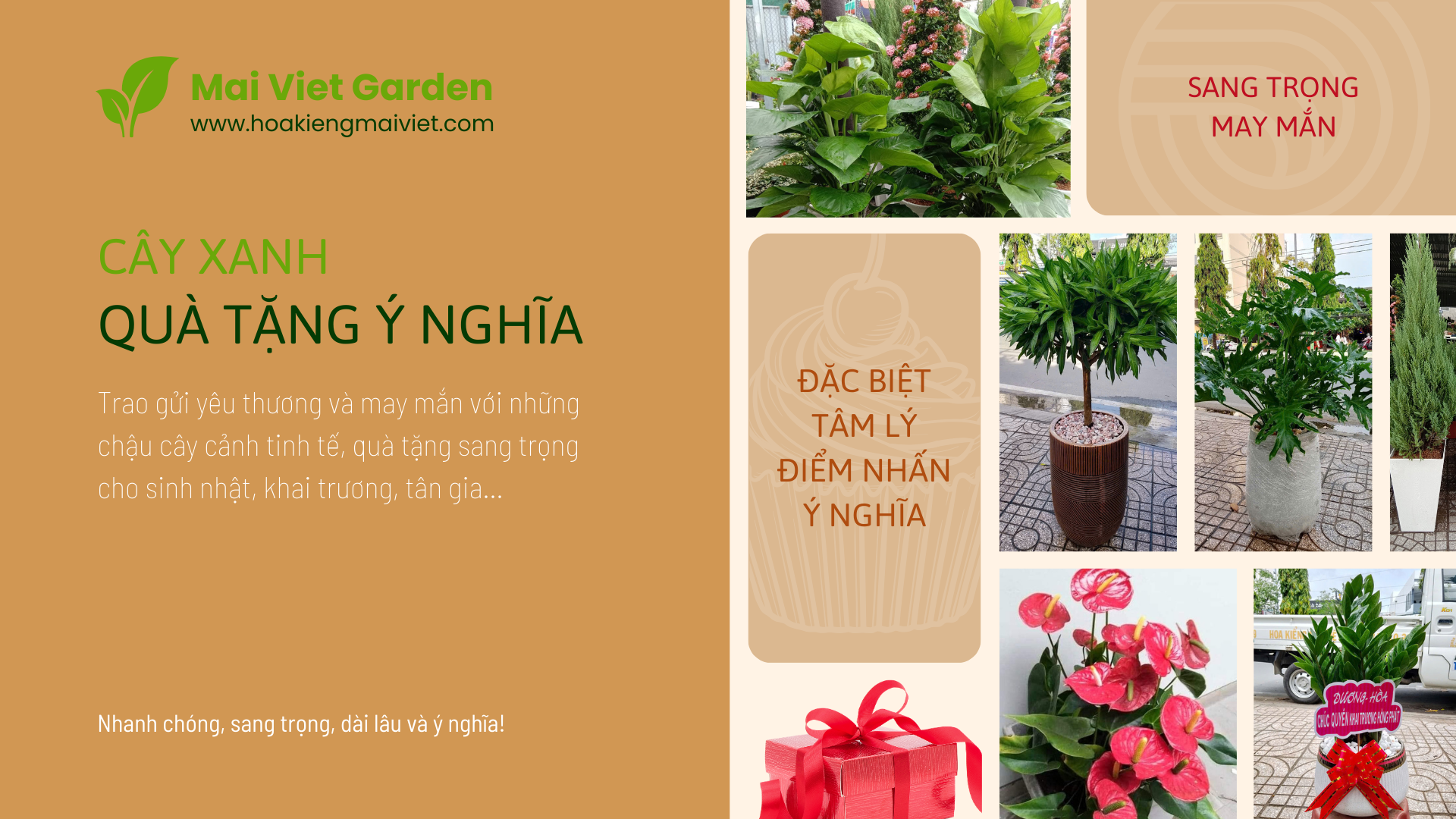 Quà tặng cây cảnh 1 Quà tăng cây cảnh nhân dịp khai trương, tân gia, sinh nhật