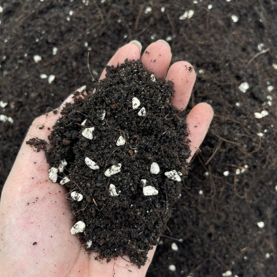 Thoáng khí: giúp rễ “thở”, tránh ngạt và thối rễ Tơi xốp: tạo điều kiện cho rễ non phát triển Giữ ẩm vừa đủ: cân bằng nước, tránh úng hoặc khô Dinh dưỡng: cung cấp khoáng chất nuôi cây lâu dài.