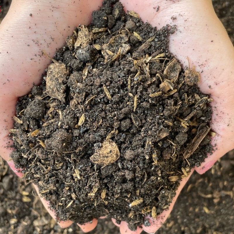 Thoáng khí: giúp rễ “thở”, tránh ngạt và thối rễ Tơi xốp: tạo điều kiện cho rễ non phát triển Giữ ẩm vừa đủ: cân bằng nước, tránh úng hoặc khô Dinh dưỡng: cung cấp khoáng chất nuôi cây lâu dài.