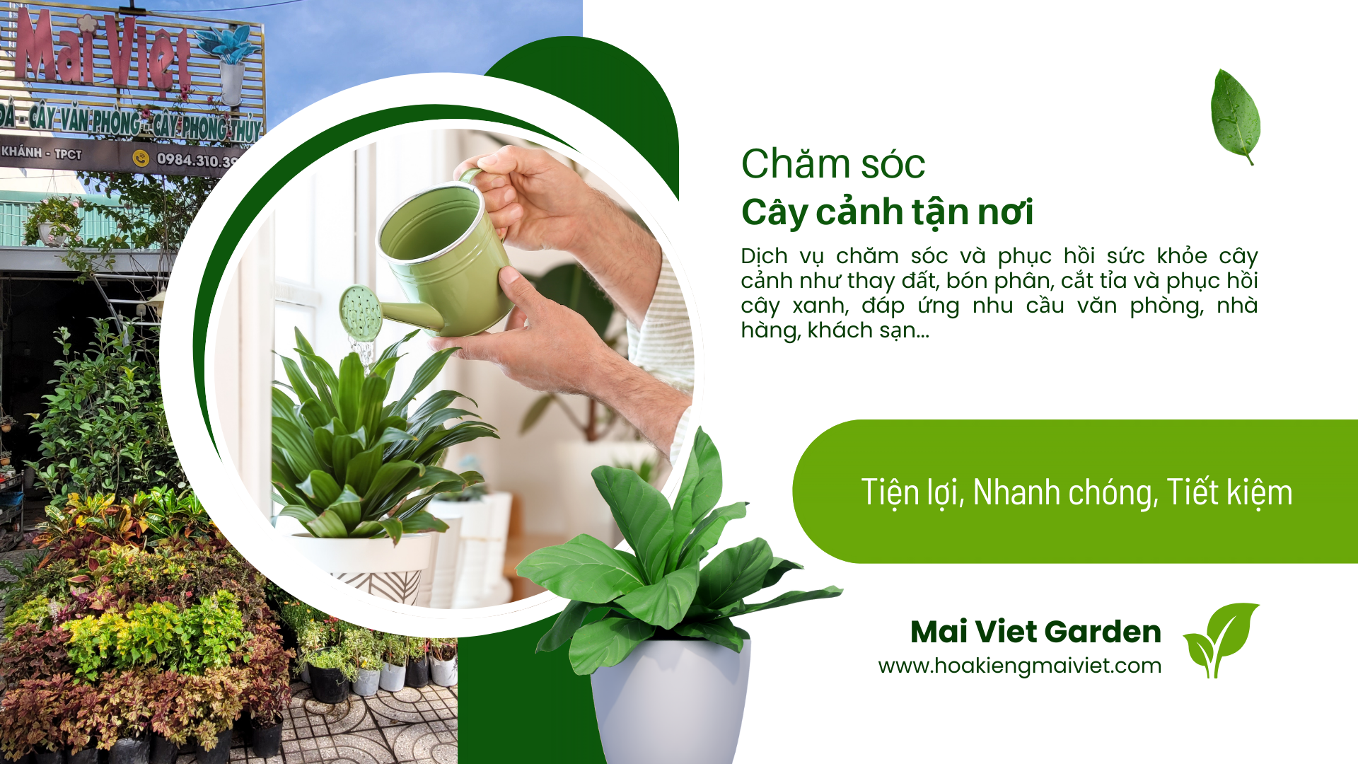 Dịch vụ 1 Dịch vụ chăm sóc và phục hồi cây cảnh tận nhà tại Cần Thơ