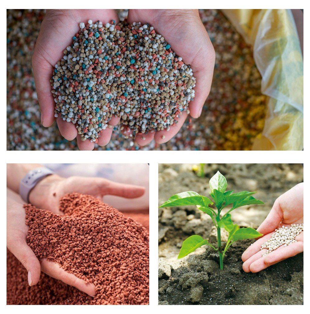 Đất và dinh dưỡng cho cây cảnh trong nhà và ngoài trời 2 Phân vô cơ NPK bón cho cây