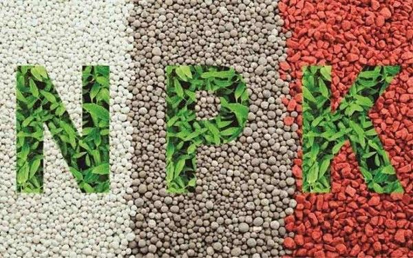 Đất và dinh dưỡng cho cây cảnh trong nhà và ngoài trời 1 Phân vô cơ NPK bón cho cây