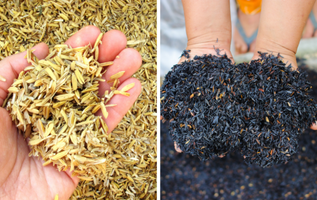 Chợ Hoa Kiểng 26 Vỏ trấu và trấu hung, xơ dừa, phân bò giúp giữ ẩm tốt cho cây