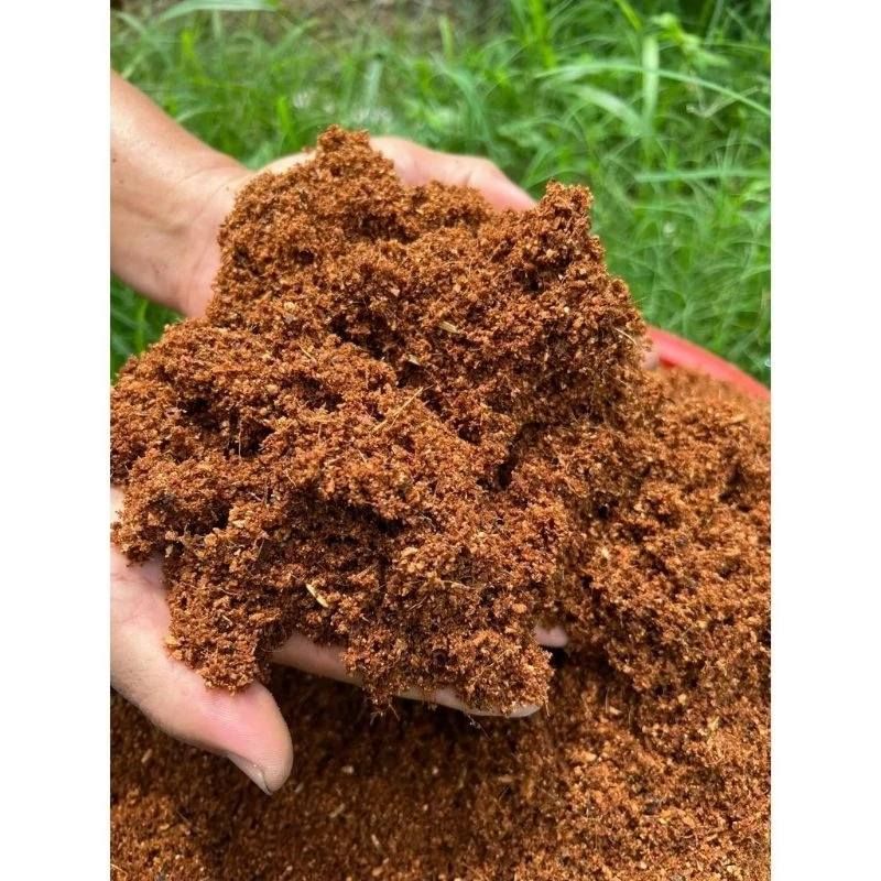 💧 Giữ ẩm cho đất — nước vừa đủ, tránh khô, tưới liên tục và úng 2 Xơ dừa không phải yếu tố giúp thoáng khí cho đất