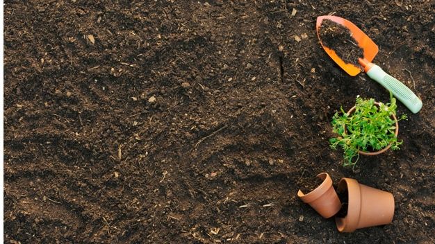 Blog chia sẻ 5 yếu tố thoáng khi trong đất rất quan trọng