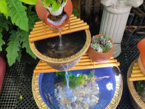 Chợ Hoa Kiểng 7 Chậu Cá Tiểu Cảnh Thủy Sinh 2 Tầng