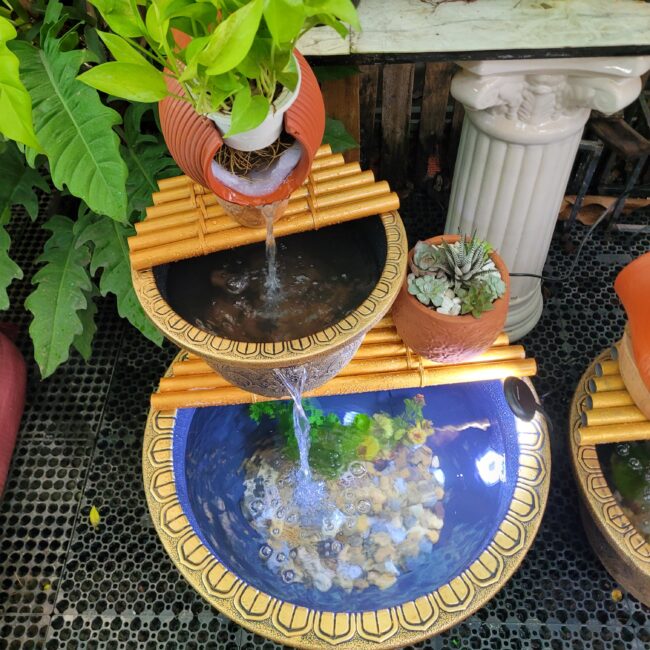 Shop 2 Chậu Cá Tiểu Cảnh Thủy Sinh 2 Tầng